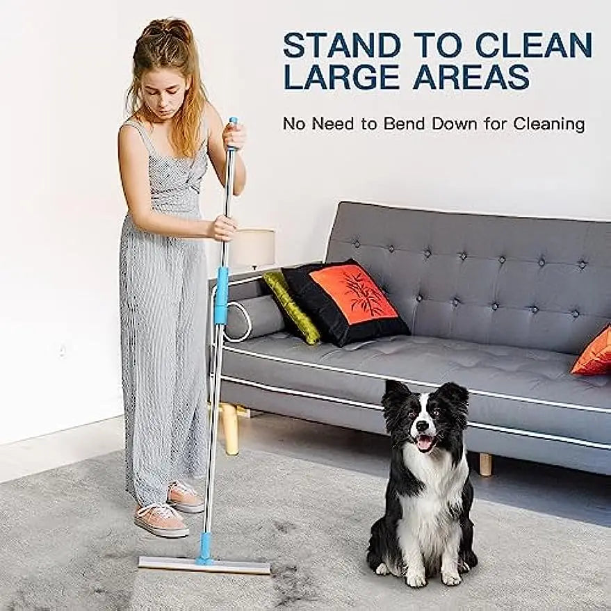 Pet Hair Remover Carpet Rake