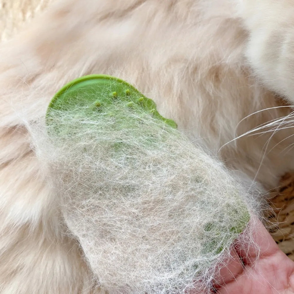 Cat Self-Grooming Wall Brush