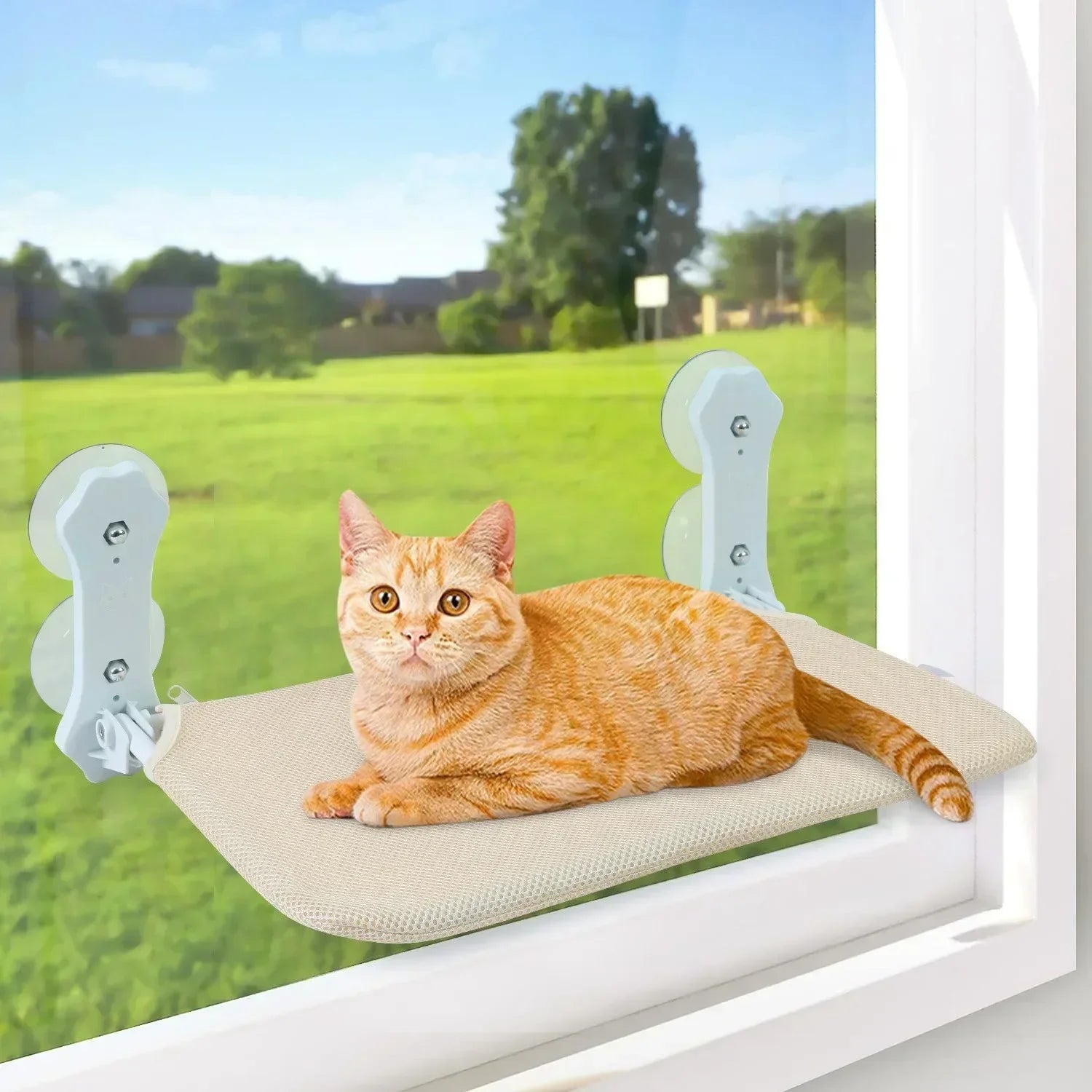 Window Suction Cup Cat Hammock