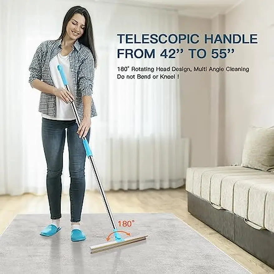 Pet Hair Remover Carpet Rake