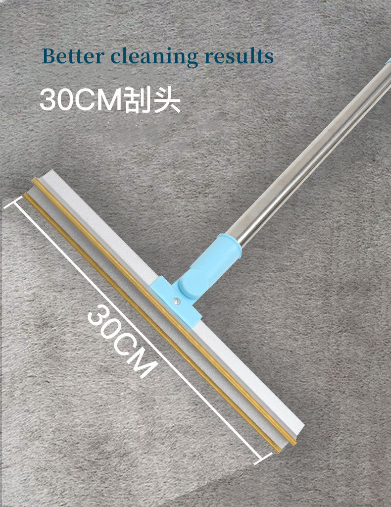 Pet Hair Remover Carpet Rake