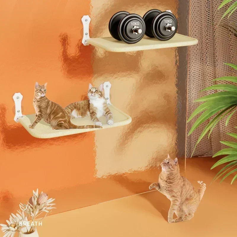 Window Suction Cup Cat Hammock